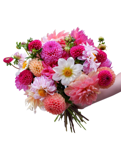 自分だけの花束を作ろう – ドールズフラワー